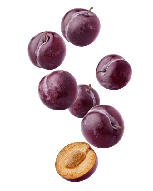 Damson Plum