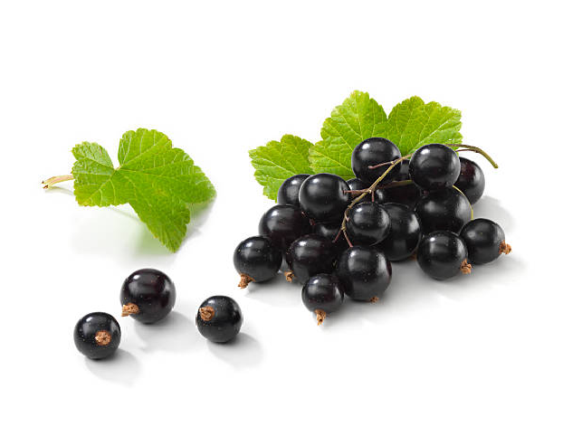 Blackcurrant